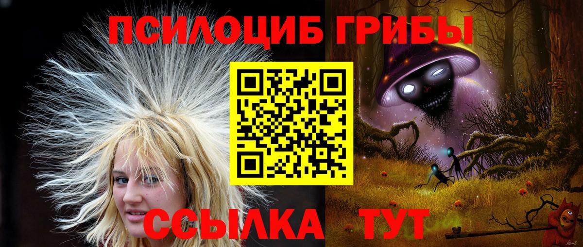 Галлюциногенные грибы Psilocybe Кузнецк