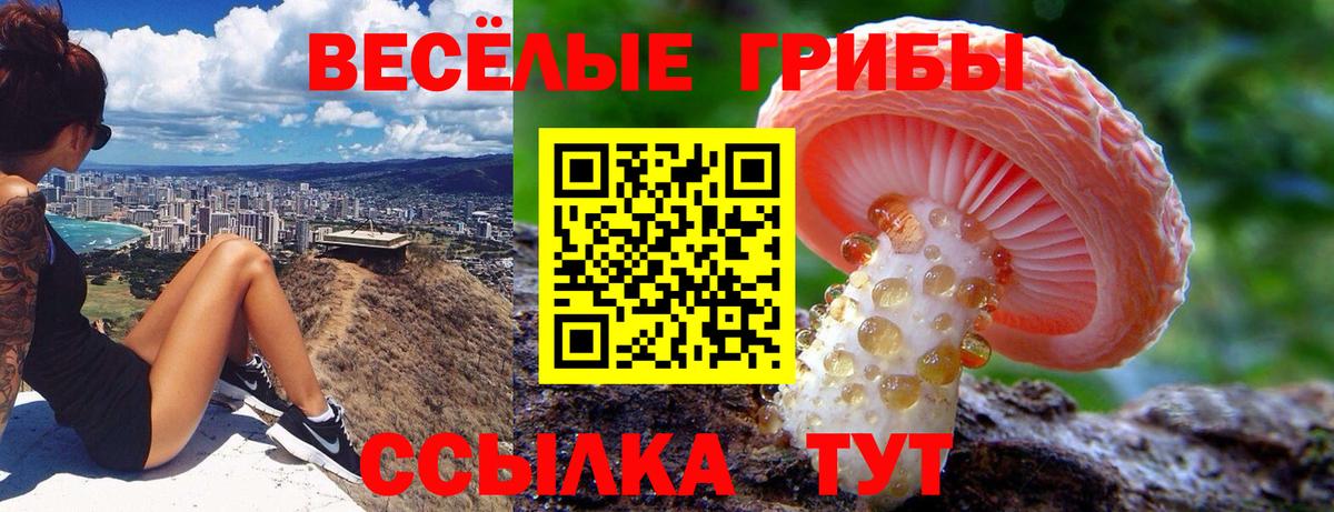 Кузнецк  Псилоцибиновые грибы мицелий  Вход с VPN  Псилоцибиновые грибы GOLDEN TEACHER 
